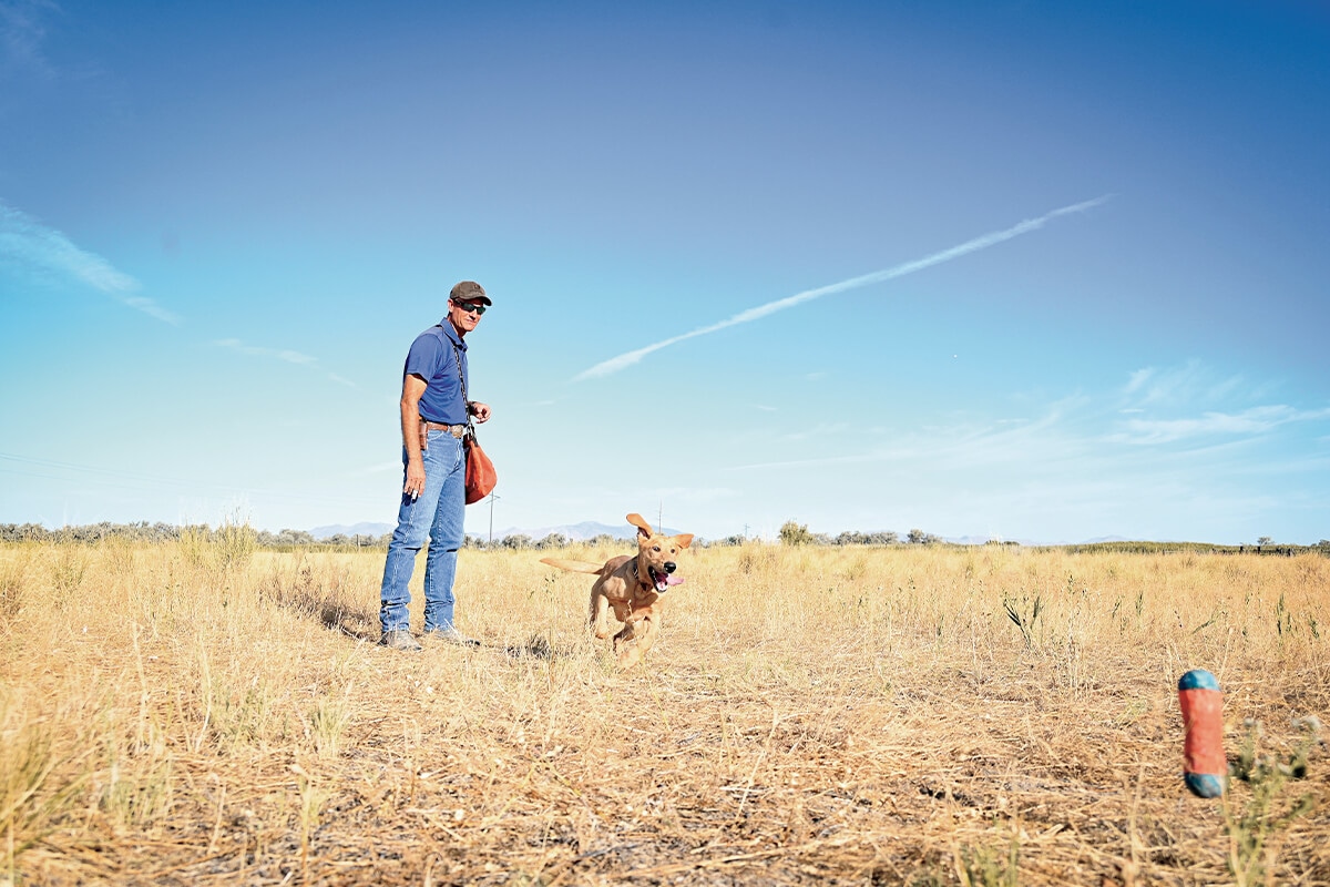 Is Support Pets Legal? What Every Pet Owner Needs to Know